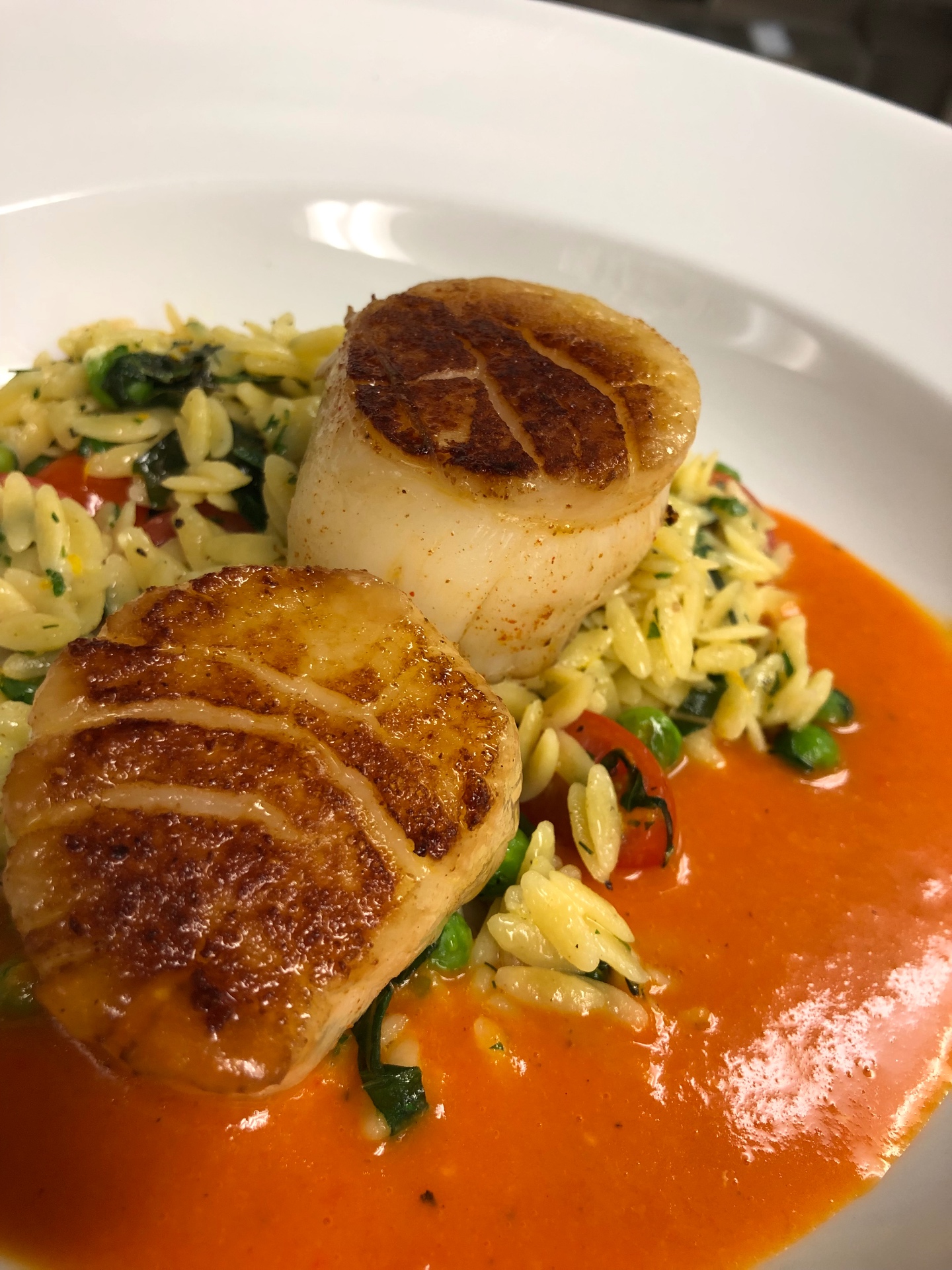 Seared scallops over lemon herb orzo with roasted red pepper sauce